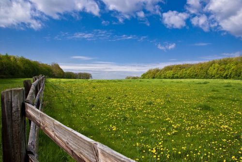 nature panorama landscape