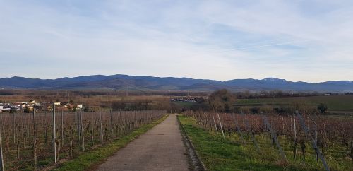 nature landscape panorama