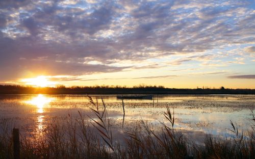 nature landscape sunset