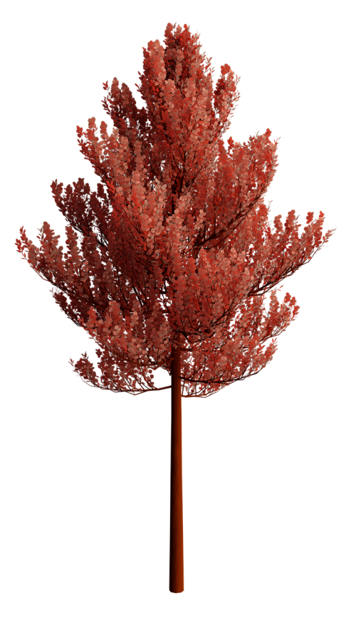 nature tree transparent background