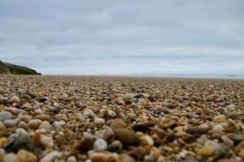 nature beach roller