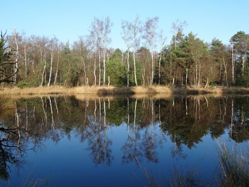 nature water landscape