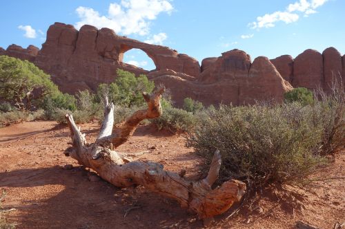 nature desert landscape