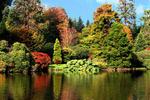 nature tree lake