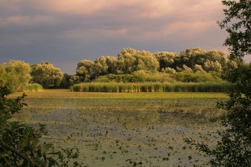 nature landscape sky