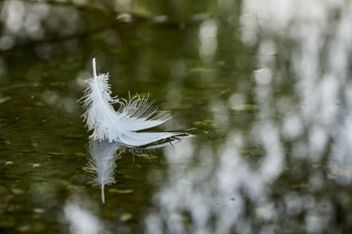 nature close waters