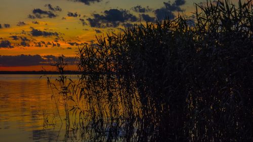 nature panoramic sunset