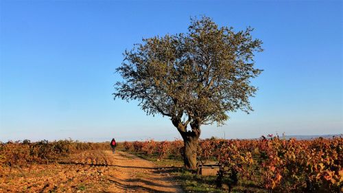 nature france aude