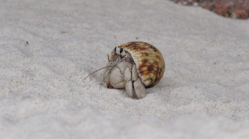 nature sand