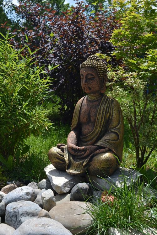 nature buddah garden