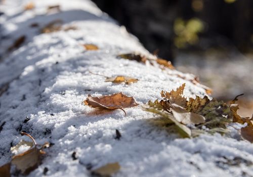 nature cold outdoors