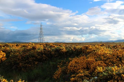 nature panorama landscape