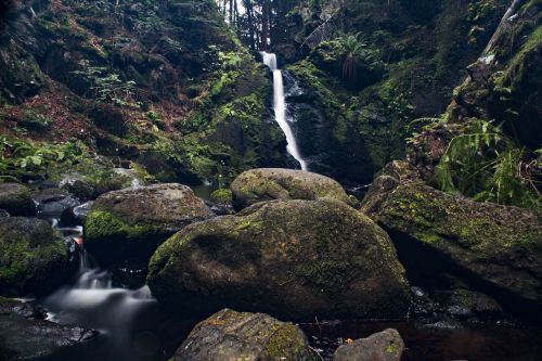 nature waters waterfall