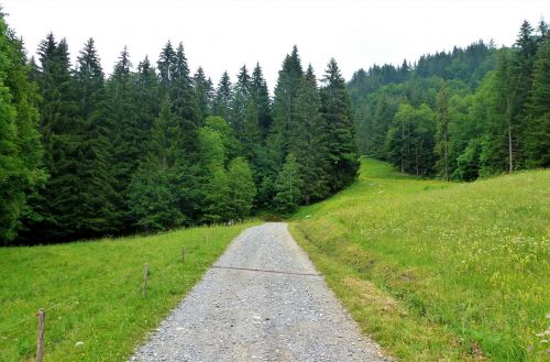 nature france alps