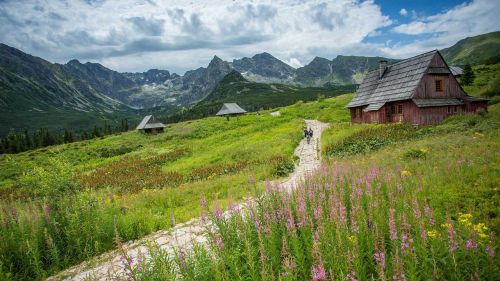 nature mountain landscape