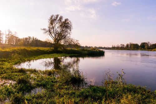 nature river water