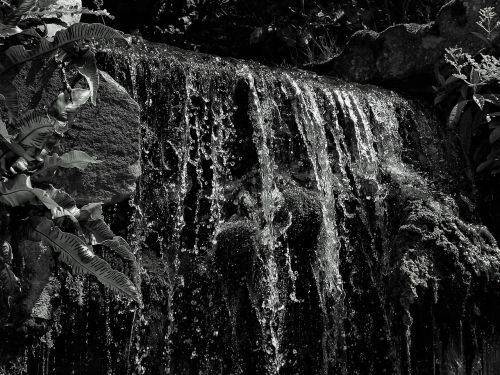 nature desktop water