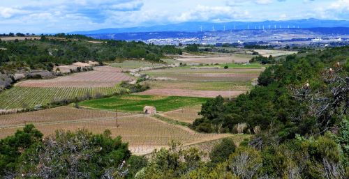 nature landscape panoramic