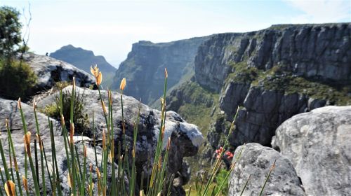 nature landscape mountain