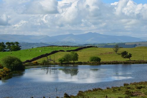 nature water landscape