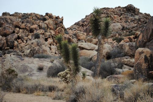 nature rock landscape