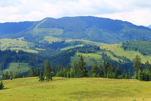 nature carpathians mountain landscape