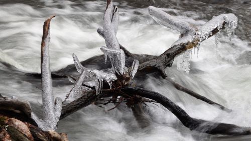 nature ice snow