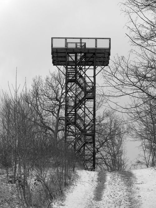 nature observation tower forest