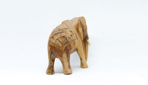 nature elephant model