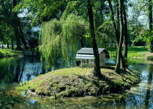 nature tree park