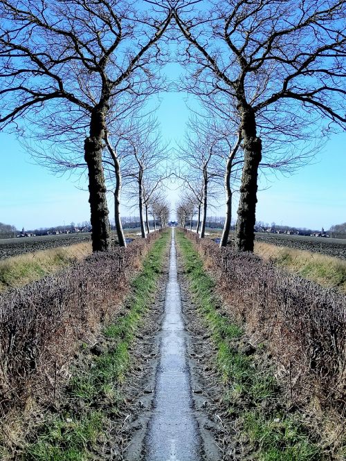 nature landscape road