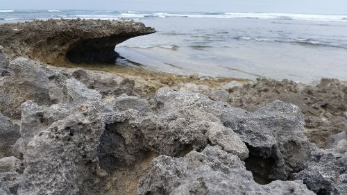 nature water seashore