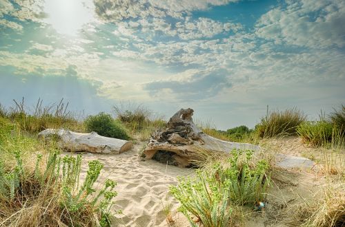 nature landscape waters