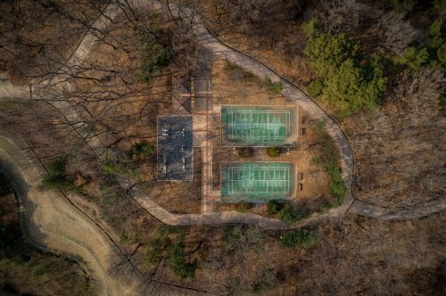 nature wood floor