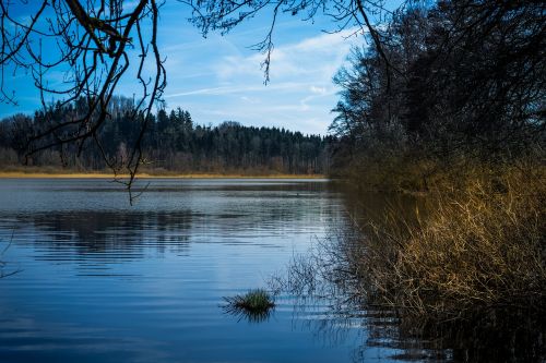 nature reflection waters