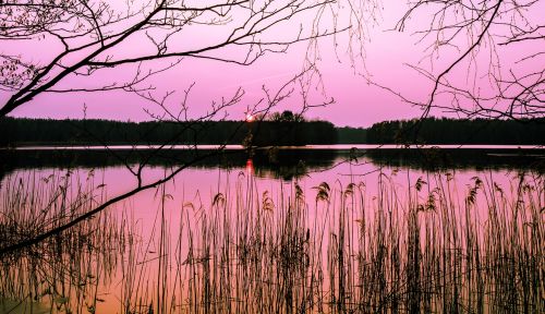 nature reflection waters