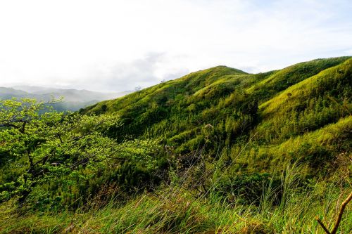 nature landscape panoramic