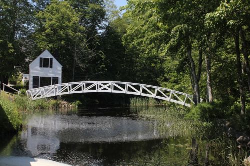 nature bridge wood