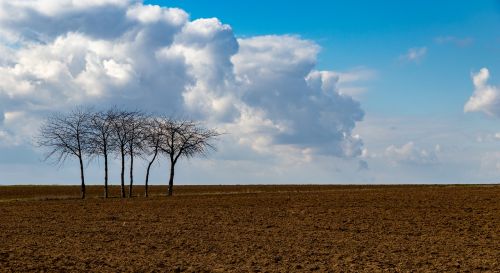 nature panorama landscape