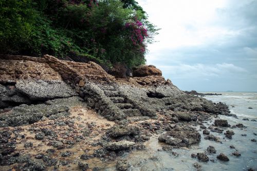 nature coast water