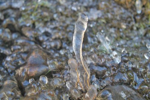 nature body of water cold