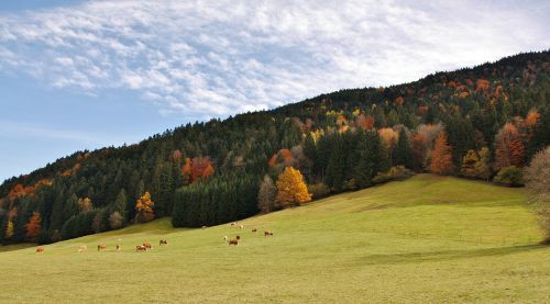 nature panorama landscape