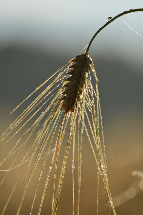 nature outdoor himmel