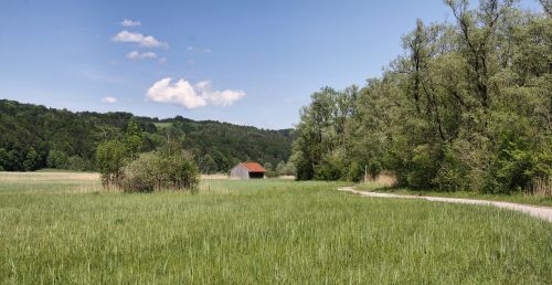 nature grass landscape