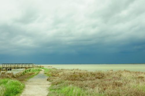 nature sky grass