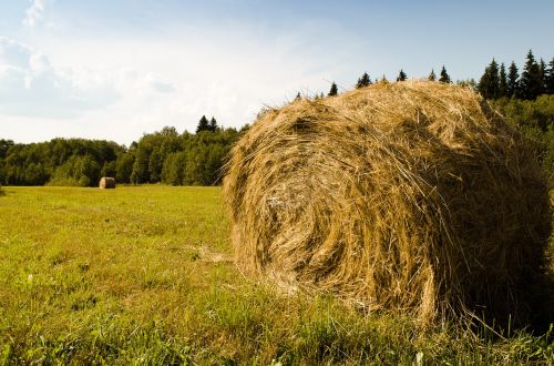 nature hay field