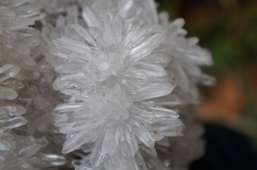 nature flower quartz
