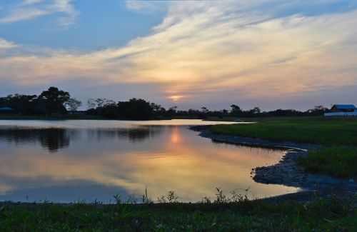 nature water outdoors