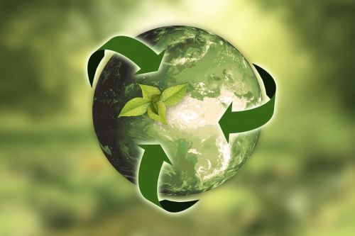 nature earth sustainability