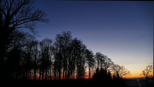 nature landscape forest